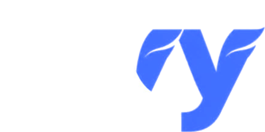 FLYY Agency